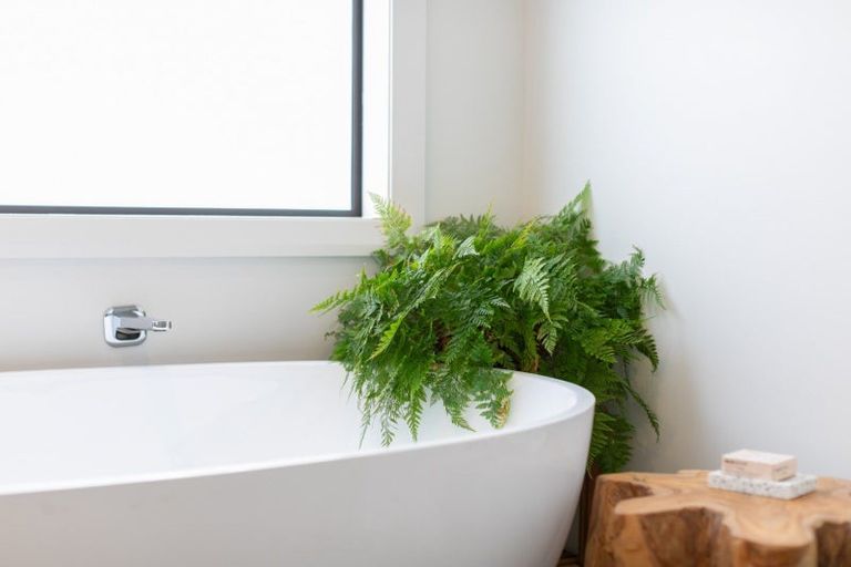 Photo of property in 15 Kakemai Rise, Pyes Pa, Tauranga, 3112