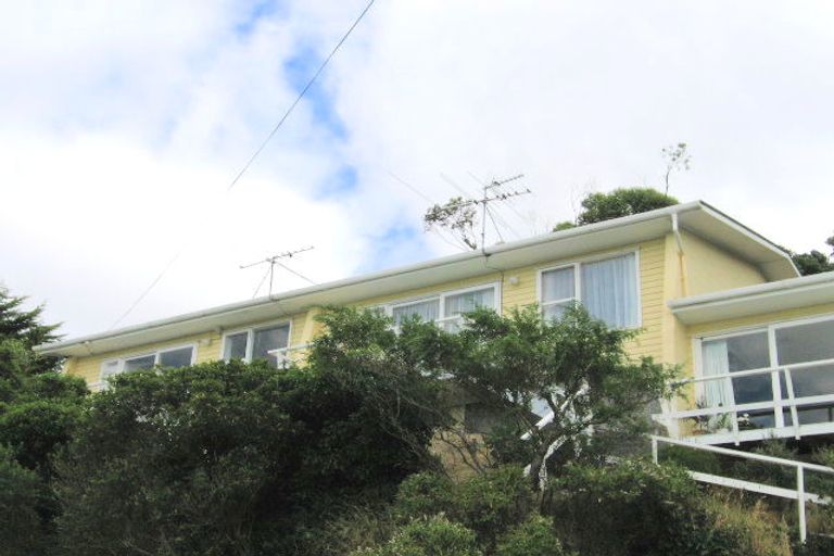 Photo of property in 4/22 Mccoll Street, Vogeltown, Wellington, 6021