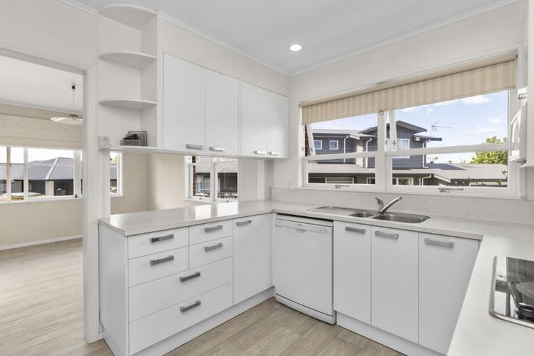 Photo of property in 19 Donny Avenue, Chartwell, Hamilton, 3210