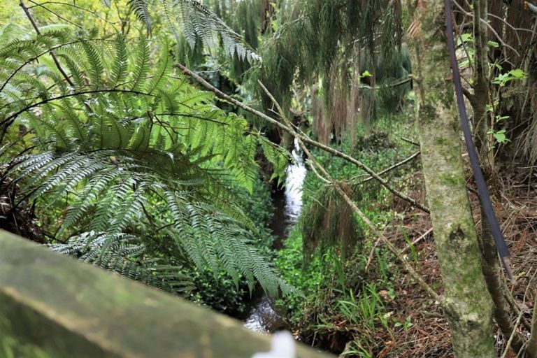 Photo of property in 52 Cordelia Street, Stratford, 4332