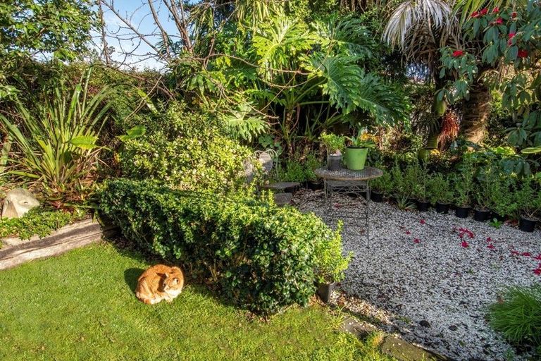 Photo of property in 263a Maungatapu Road, Maungatapu, Tauranga, 3112