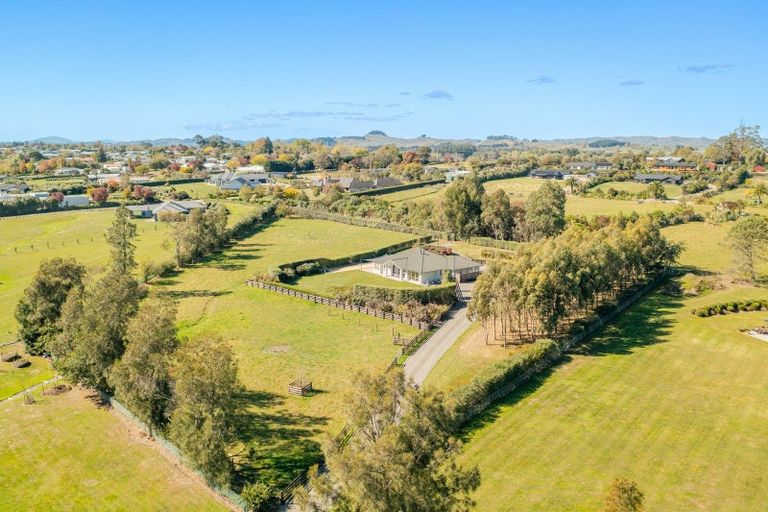 Photo of property in 243c Racecourse Road, Waipukurau, 4282