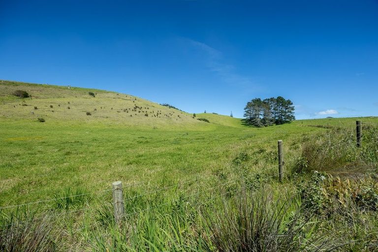 Photo of property in 42 Redhill Cemetery Road, Te Kopuru, 0371