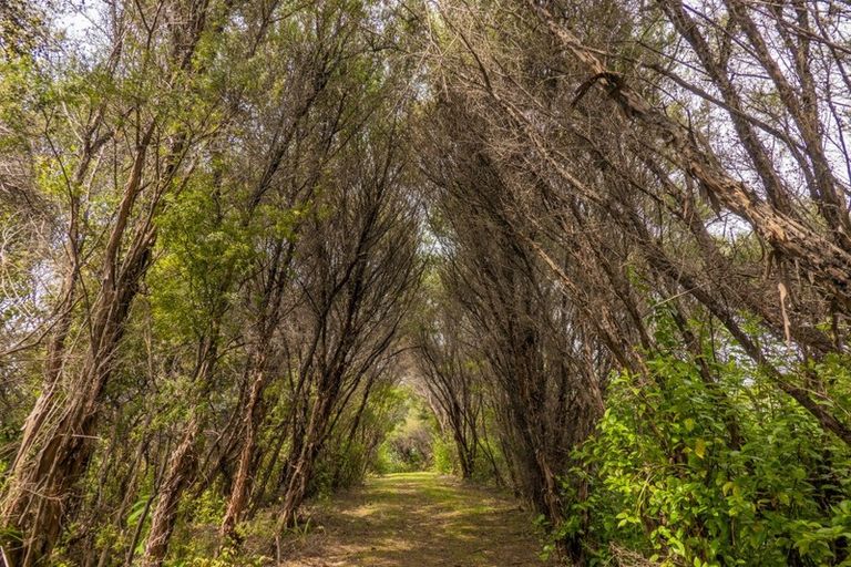 Photo of property in 123 Pumpkin Hill Road, Pumpkin Hill, Whitianga, 3591
