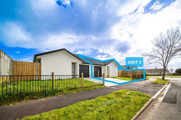 Photo of property in 32u3 Ross Crescent, Fairfield, Hamilton, 3214