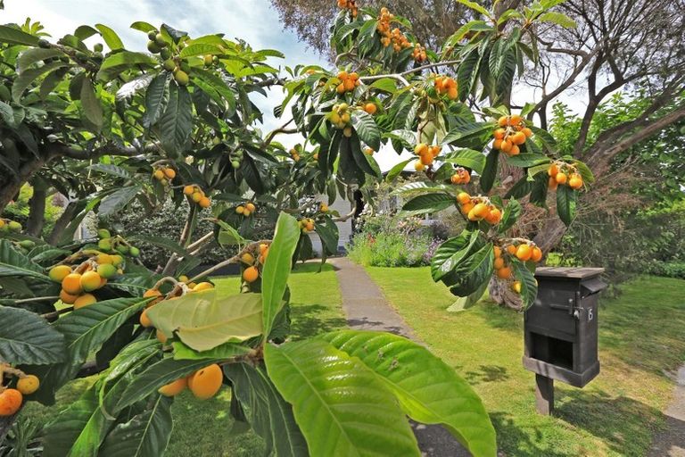 Photo of property in 15 Rakau Street, Havelock North, 4130