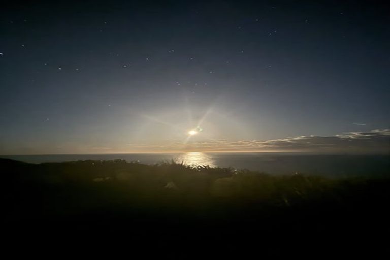 Photo of property in 25 Highgrove, Saint Clair, Dunedin, 9012