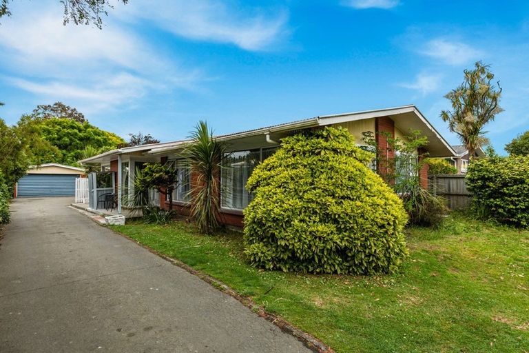 Photo of property in 330 Cranford Street, St Albans, Christchurch, 8052