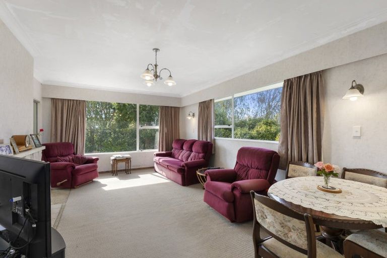 Photo of property in 205 Tiro Tiro Road, Levin, 5510