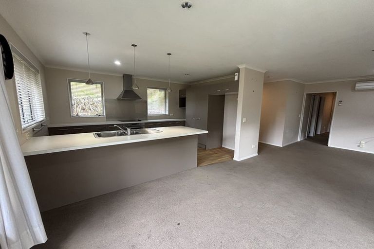 Photo of property in 460 Brook Street, The Brook, Nelson, 7010