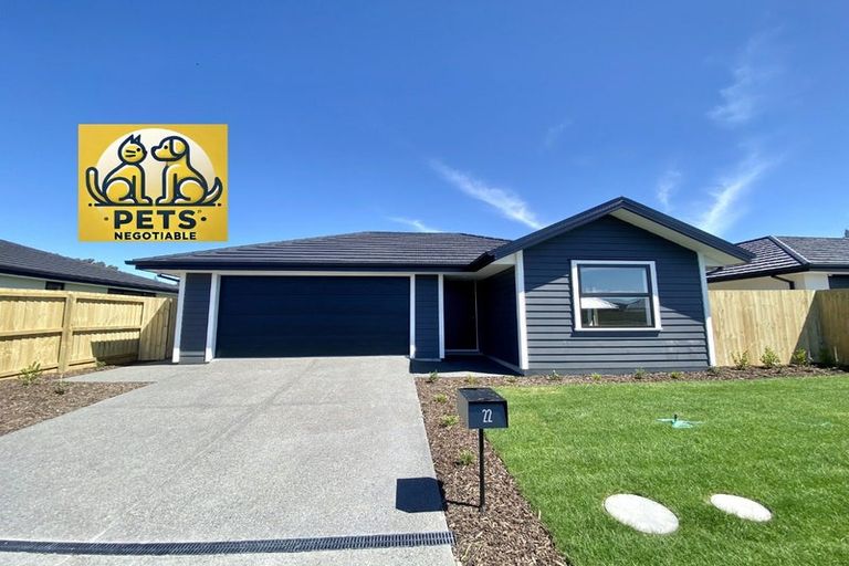 Photo of property in 22 Dallimore Drive, Belfast, Christchurch, 8051