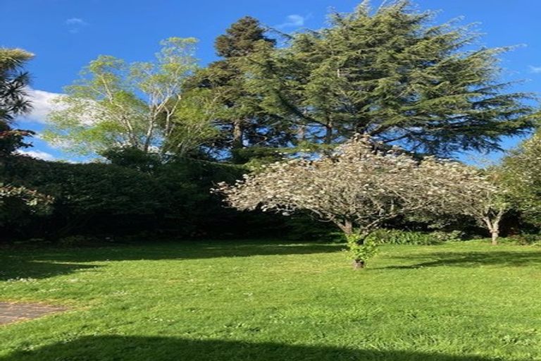 Photo of property in 24 Galloway Street, Hamilton East, Hamilton, 3216