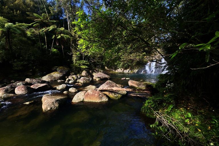 Photo of property in 717 Wright Road, Aongatete, 3181