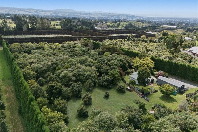 Photo of property in 151a Hereford Road, Oropi, Tauranga, 3173
