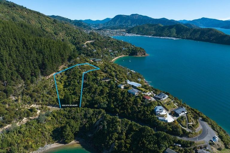Photo of property in 318 Port Underwood Road, Whatamango Bay, Picton, 7281