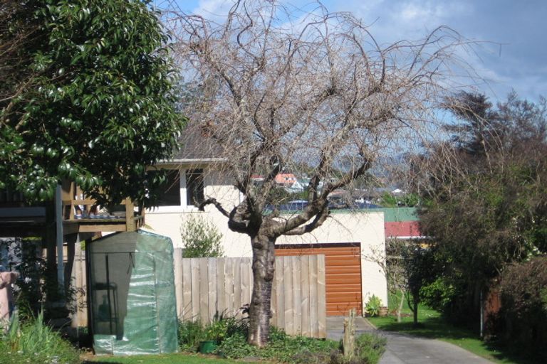 Photo of property in 22a Faulkner Street, Gate Pa, Tauranga, 3112