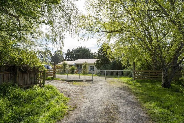 Photo of property in 42 Falcon Street, Palmerston, 9430