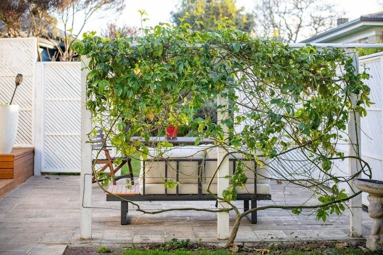 Photo of property in 108 Fox Street, Hamilton East, Hamilton, 3216