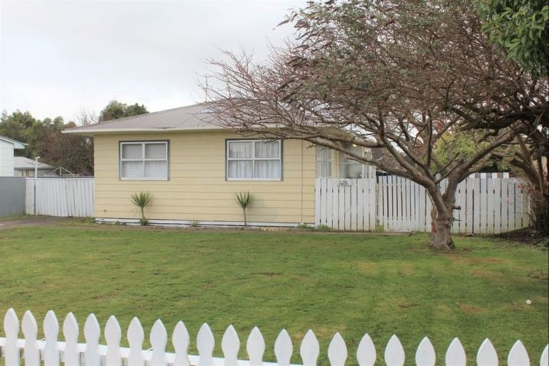 Photo of property in 19 Hartgill Crescent, Dannevirke, 4930