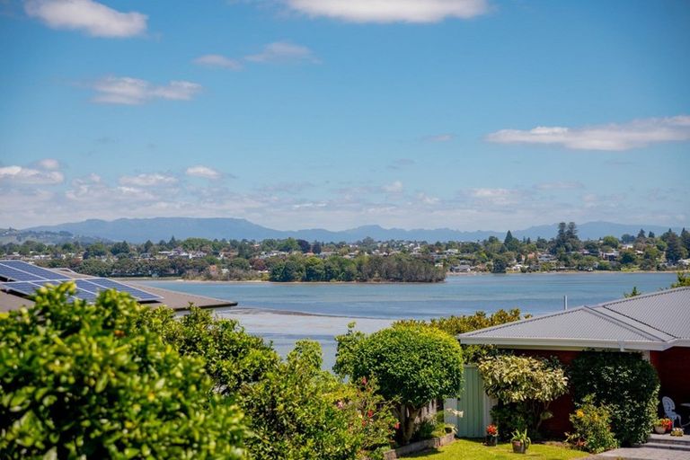 Photo of property in 346a Maungatapu Road, Maungatapu, Tauranga, 3112