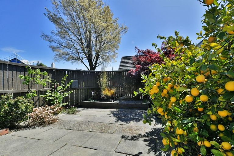 Photo of property in 43n Waimairi Road, Upper Riccarton, Christchurch, 8041