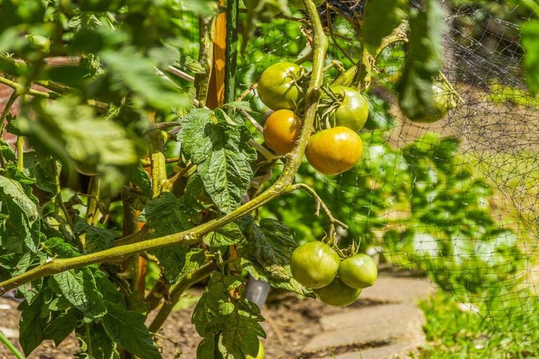 Photo of property in 54b Ascot Road, Mount Maunganui, 3116