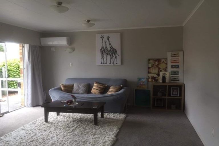 Photo of property in 16u1 Findlater Street, Matamata, 3400