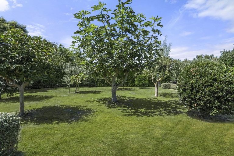Photo of property in 21 Tasman Street, Havelock North, 4130