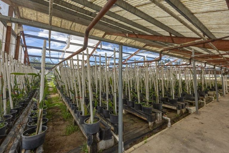 Photo of property in 123 Jesmond Road, Karaka, Drury, 2578