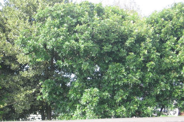 Photo of property in 30 Forest Hill Road, Henderson, Auckland, 0612