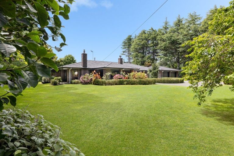 Photo of property in 529b Te Puke Highway, Te Puke, 3187