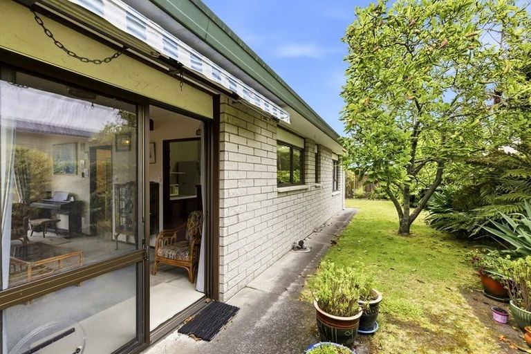 Photo of property in 59 Whakaipo Avenue, Taupo, 3330