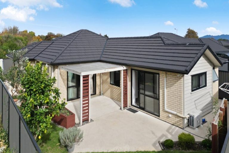 Photo of property in 67 Stan Heather Drive, Glenview, Hamilton, 3206