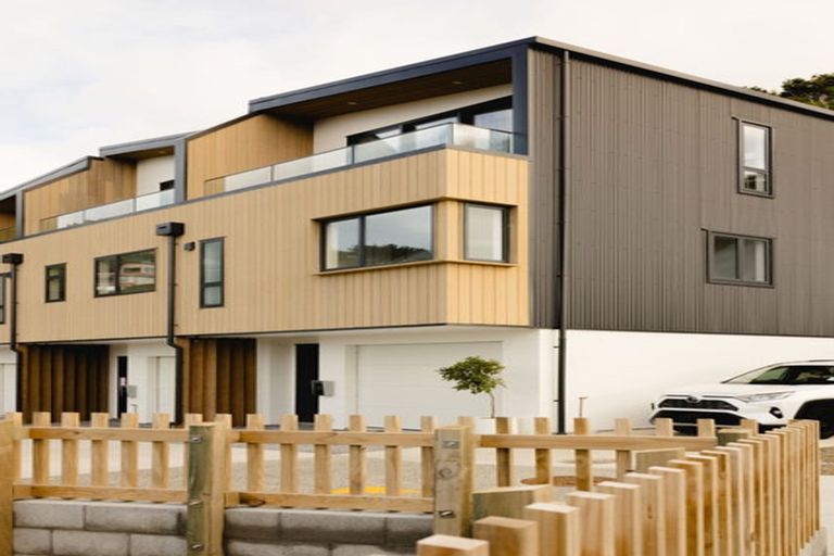 Photo of property in 119 Tiketike Way, Brooklyn, Wellington, 6021