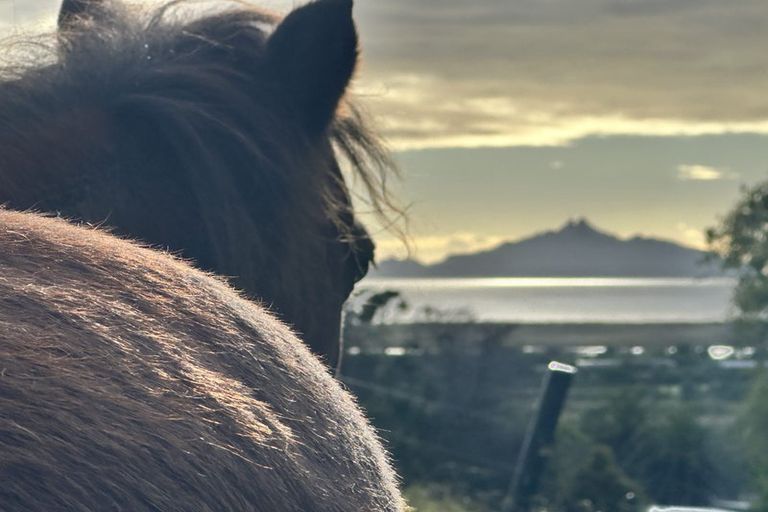 Photo of property in 25 Seamore Rise, Waipu, 0582