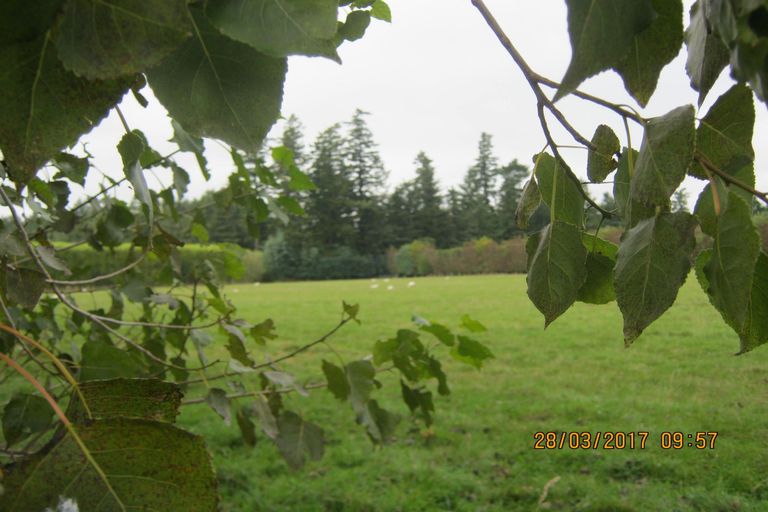 Photo of property in 36 Burdon Road, Woodbury, Geraldine, 7991