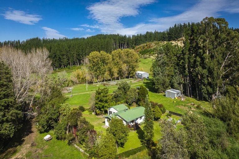 Photo of property in 888 Kakariki Farm Road, Kotemaori, 4188