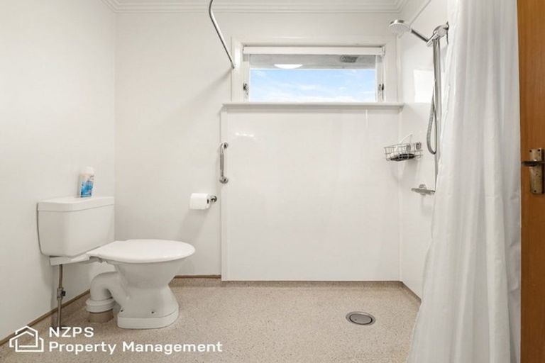 Photo of property in 2 Erskine Place, Saint Clair, Dunedin, 9012