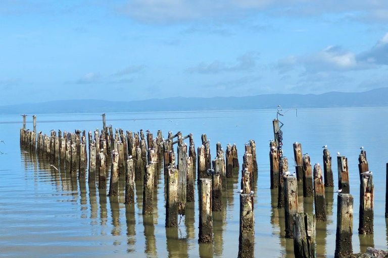 Photo of property in 441 Fergusson Drive, Thames, 3500