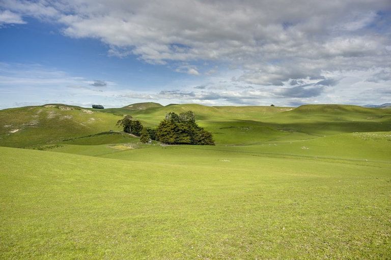 Photo of property in 226 Ongaonga Road, Waipawa, 4272