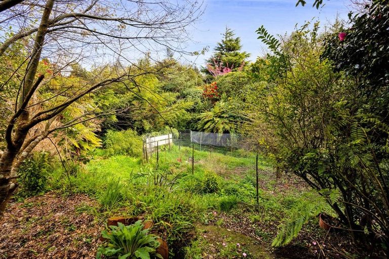 Photo of property in 32 Antonio Street, Stratford, 4332