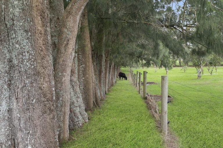 Photo of property in 336 Ireland Road, Waitoki, Kaukapakapa, 0871