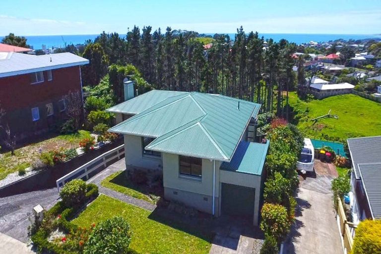 Photo of property in 47 Crownhill Street, Spotswood, New Plymouth, 4310