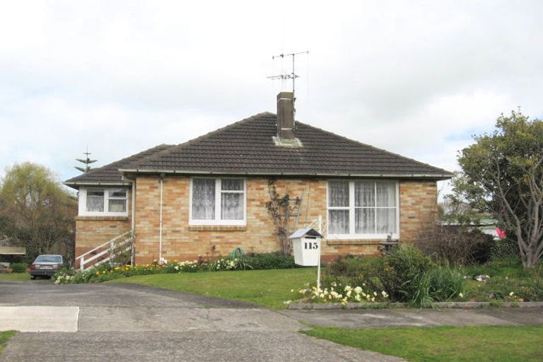 Photo of property in 115 Harvey Crescent, Thames, 3500