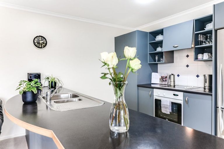 Photo of property in 432u1 Tristram Street, Whitiora, Hamilton, 3200