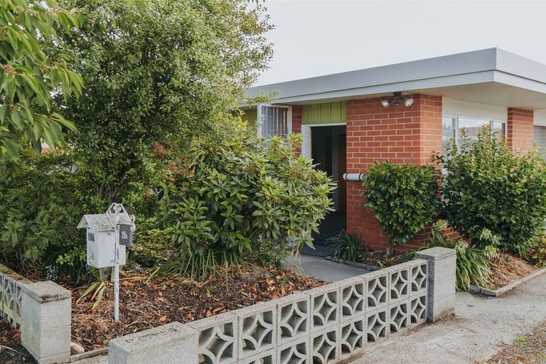 Photo of property in 19a Essex Street, Balclutha, 9230