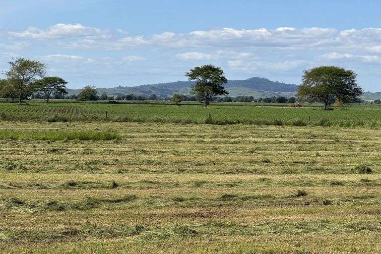 Photo of property in 495a Piako Road, Gordonton, 3281