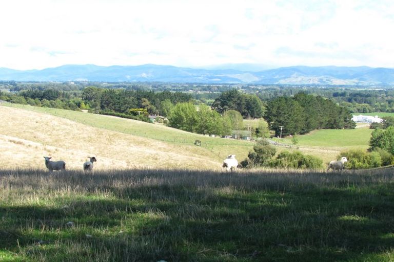Photo of property in 41 Lees Pakaraka Road, Te Ore Ore, Masterton, 5886