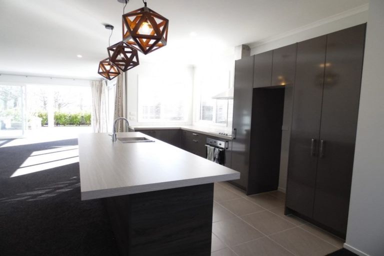 Photo of property in 9 Liquidambar Drive, Hobsonville, Auckland, 0616