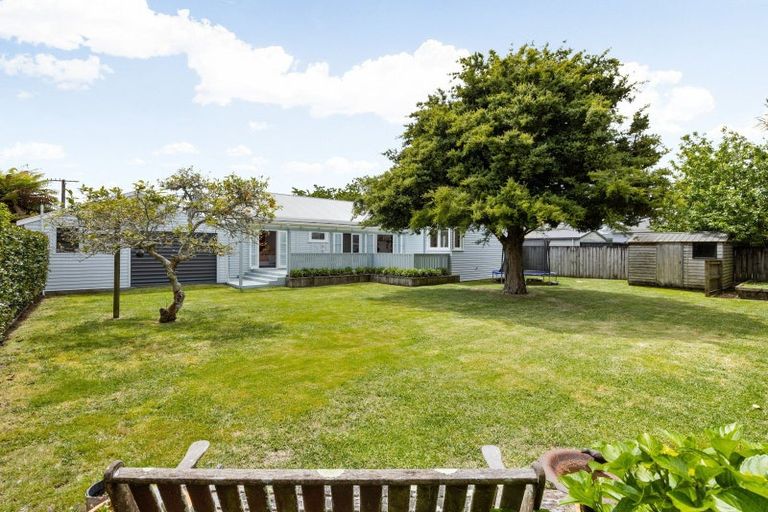 Photo of property in 66 Naylor Street, Hamilton East, Hamilton, 3216